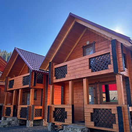 Орхідея Luxe 1 Apartment Synevyrs'ka Polyana Bagian luar foto